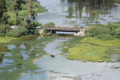 DSC_3206 (Large).JPG